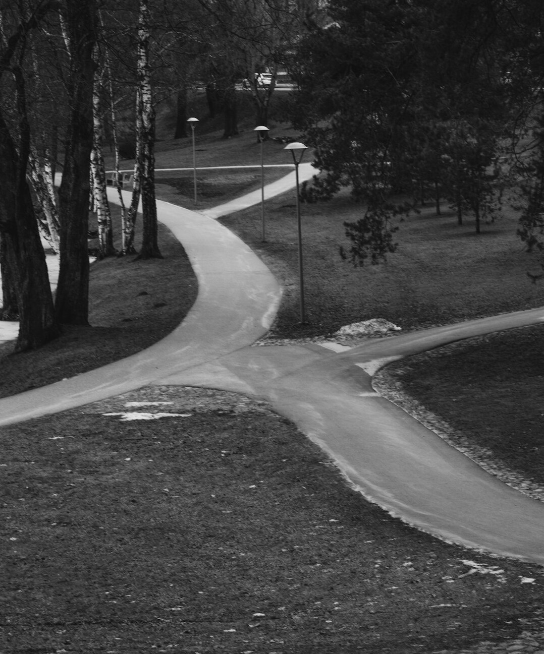 continuous learning path